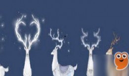 逆水寒最新祥瑞爆料,神秘奇遇，江湖风云再起