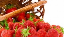 微笑爆料草莓视频大全,微笑爆料，带你领略网络红人的魅力瞬间